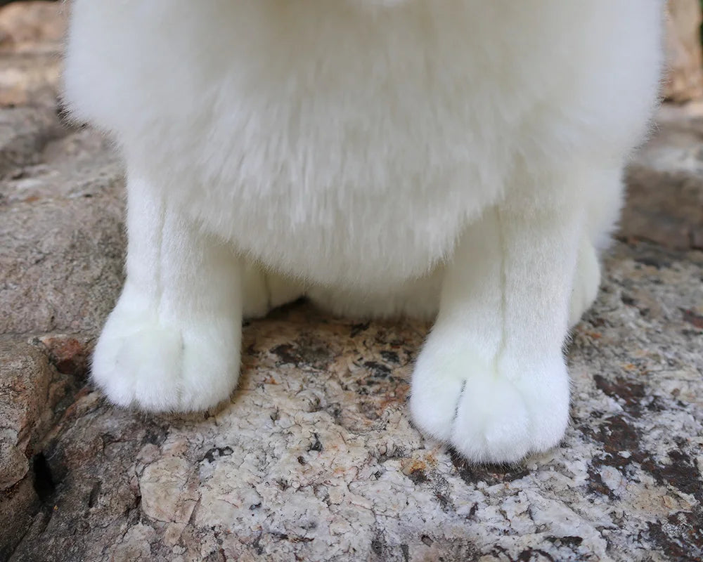 Lifelike Samoyed Push