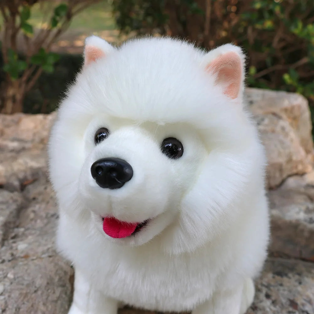 Lifelike Samoyed Push