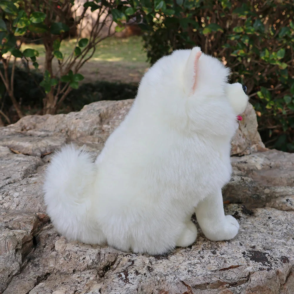Lifelike Samoyed Push