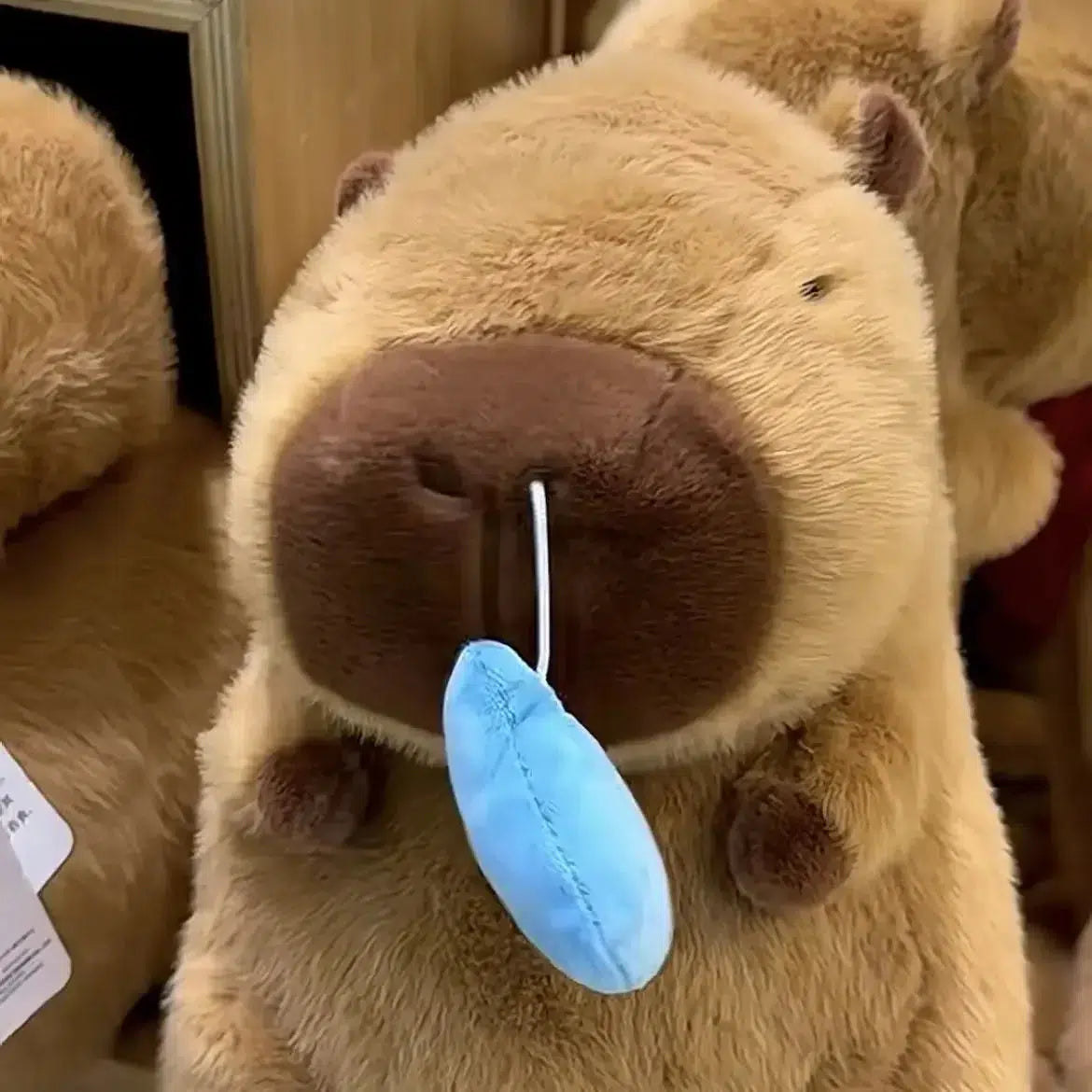 Snotty Capybara Plush