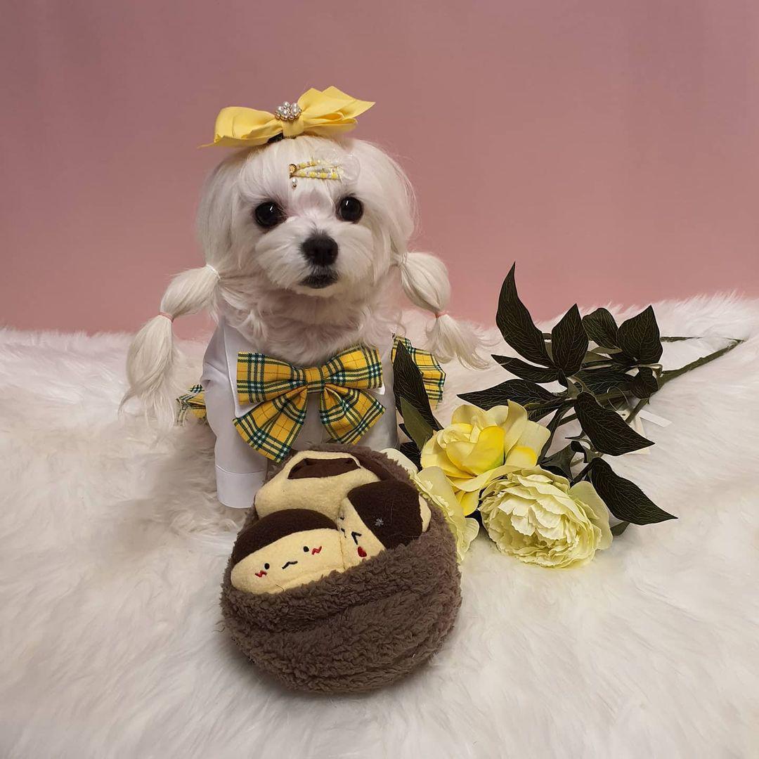 Chestnut Plush Dog Toy