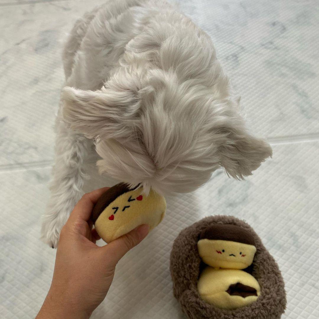 Chestnut Plush Dog Toy