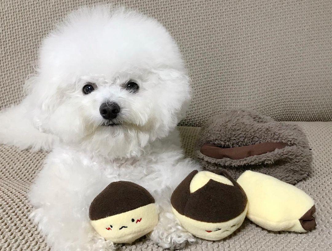 Chestnut Plush Dog Toy
