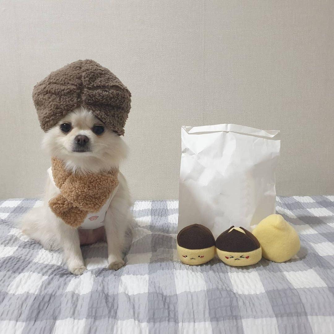 Chestnut Plush Dog Toy