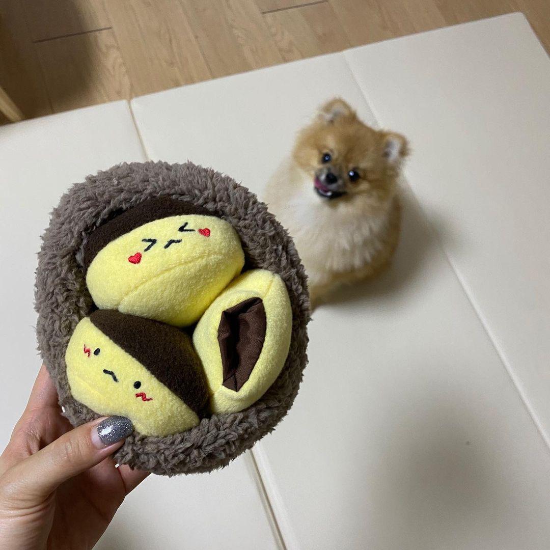 Chestnut Plush Dog Toy