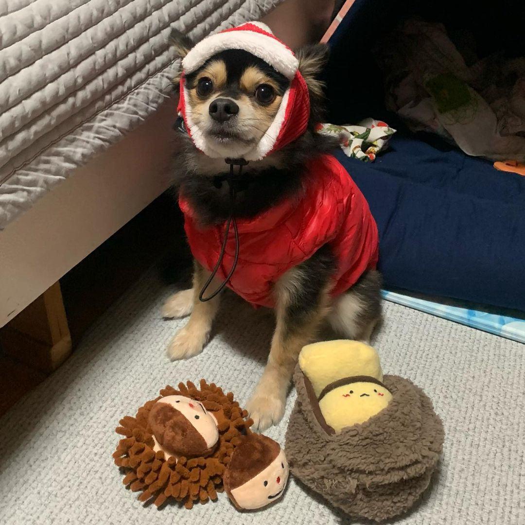 Chestnut Plush Dog Toy