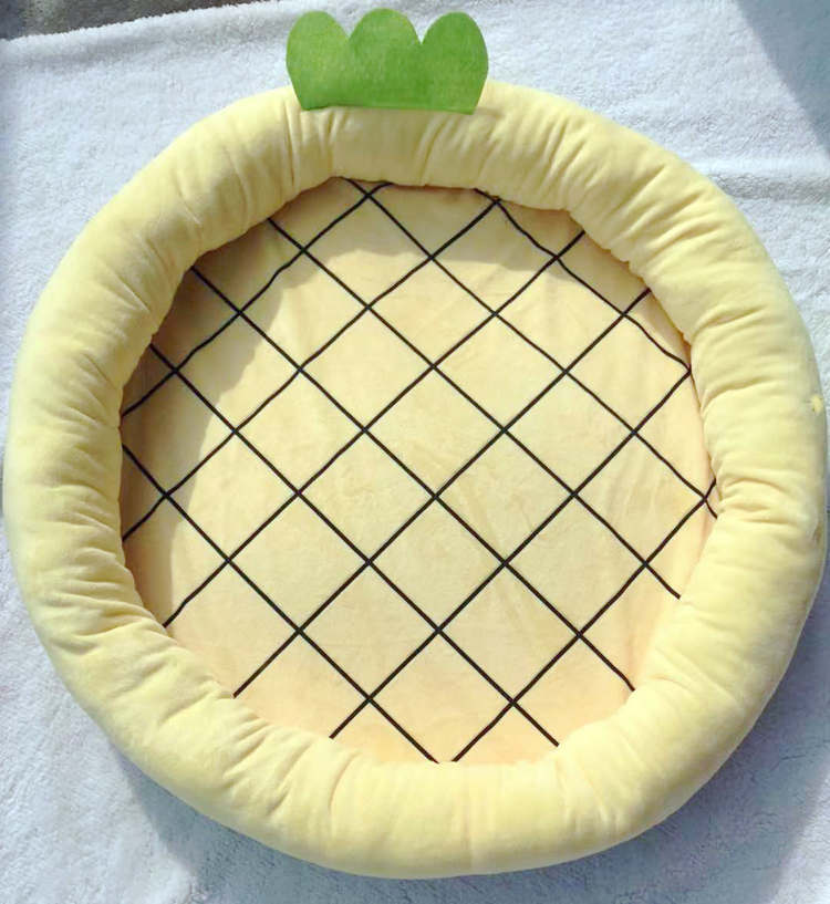 Fruit & Veg Pet Bed