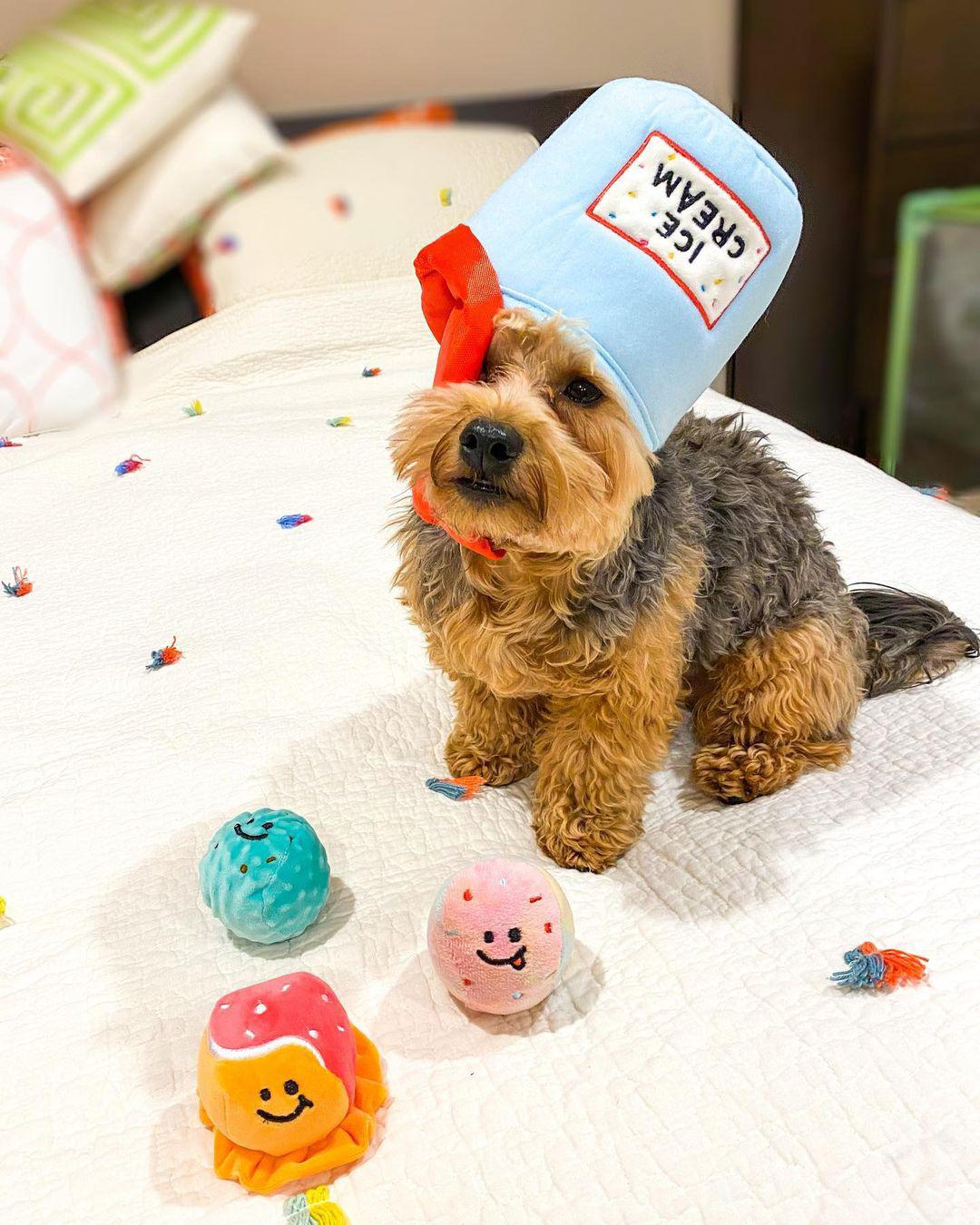 Ice Cream Plush Dog Toy