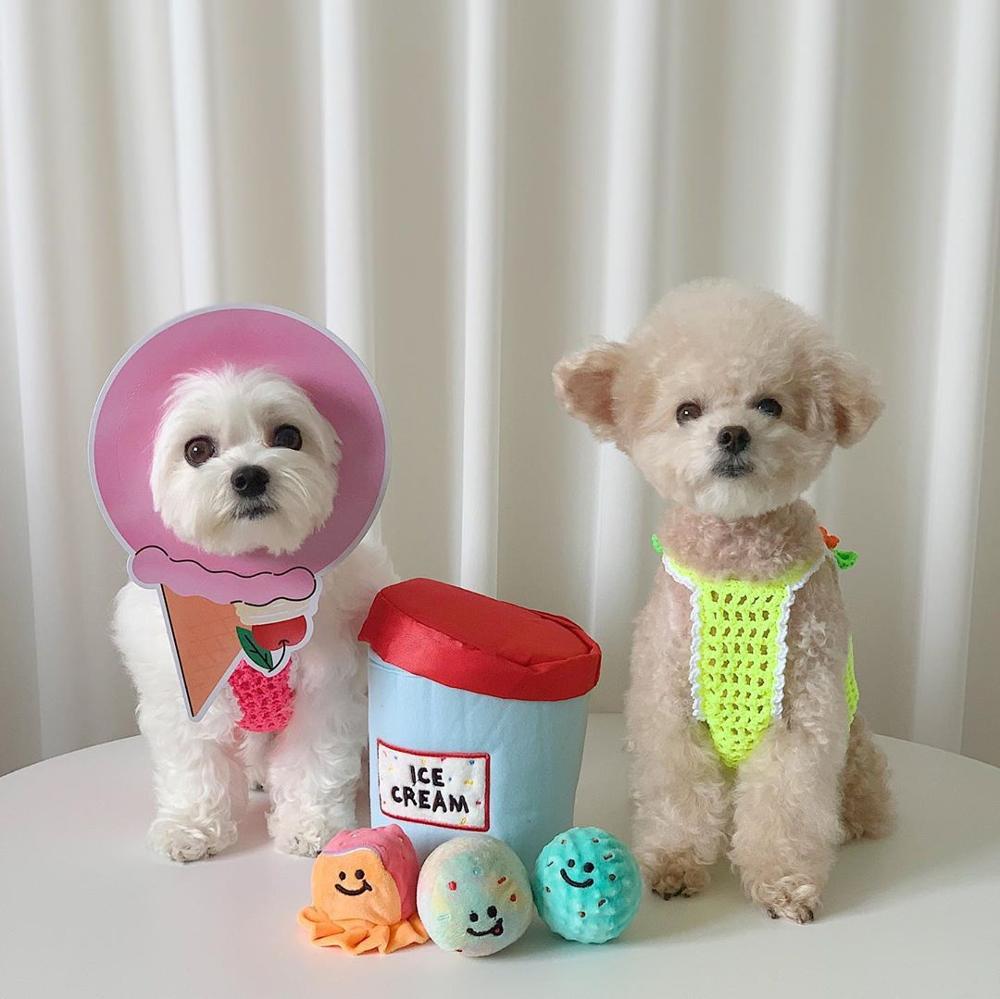 Ice Cream Plush Dog Toy
