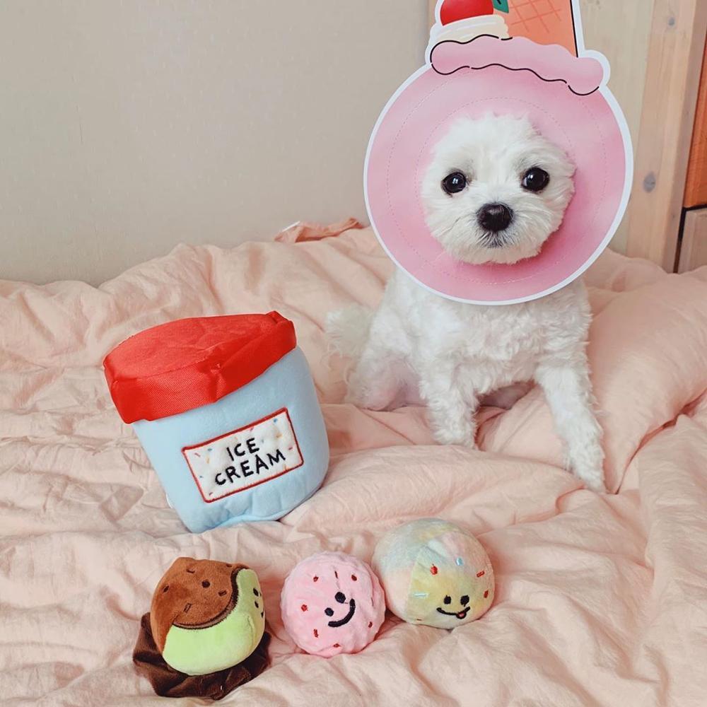 Ice Cream Plush Dog Toy