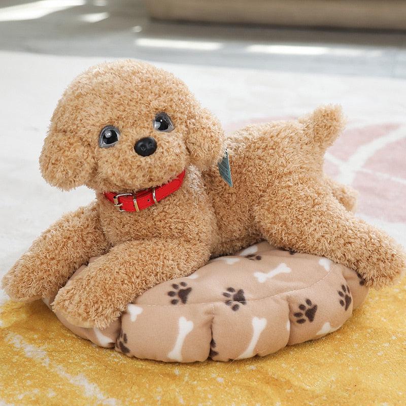 Teddy Dog Plush