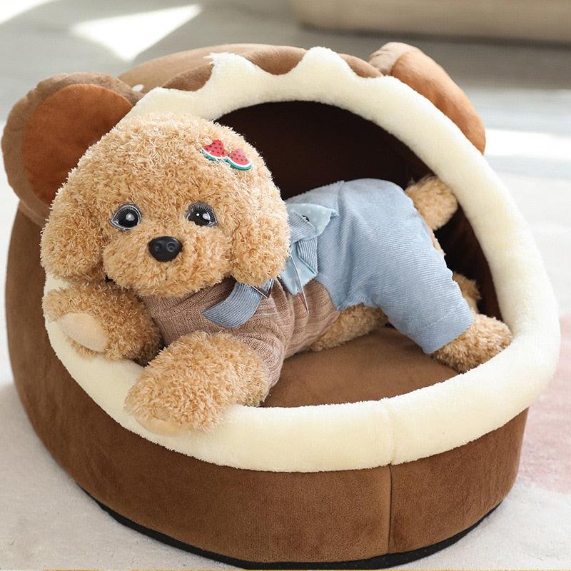 Teddy Dog Plush