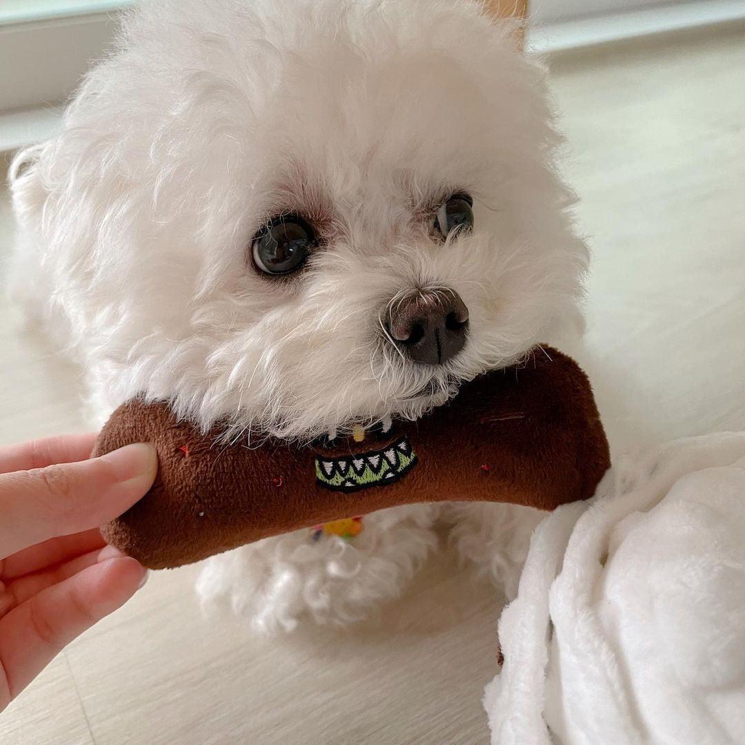 Toilet Paper Plush Dog Toy
