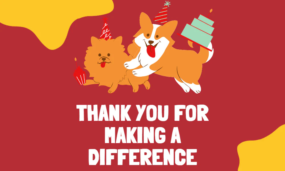 thank you for making a difference - comfy morning animal sheltering donation