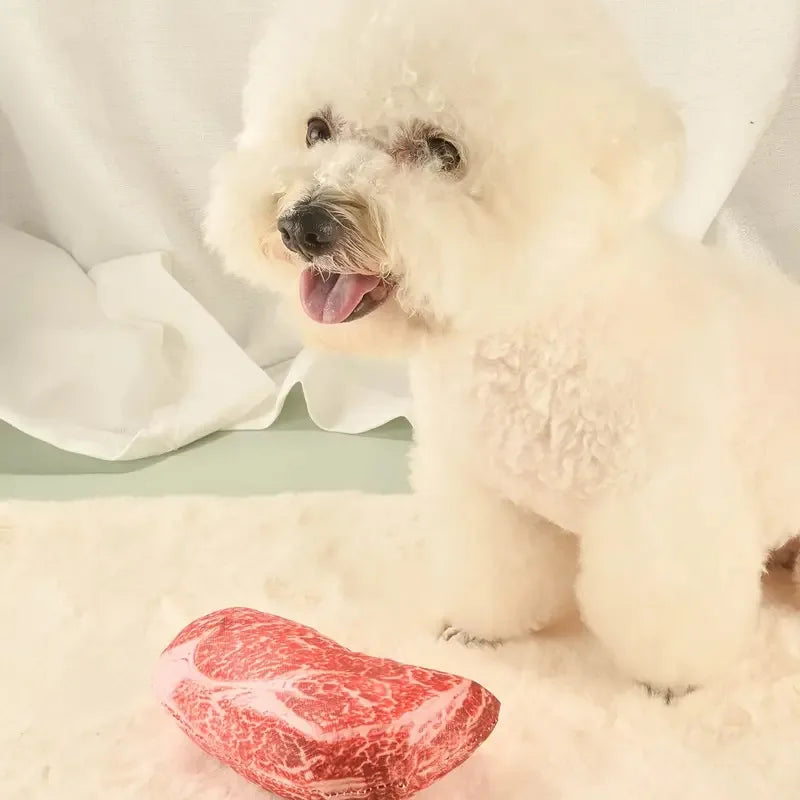 Realistic Squeaky Dog Steak Plush