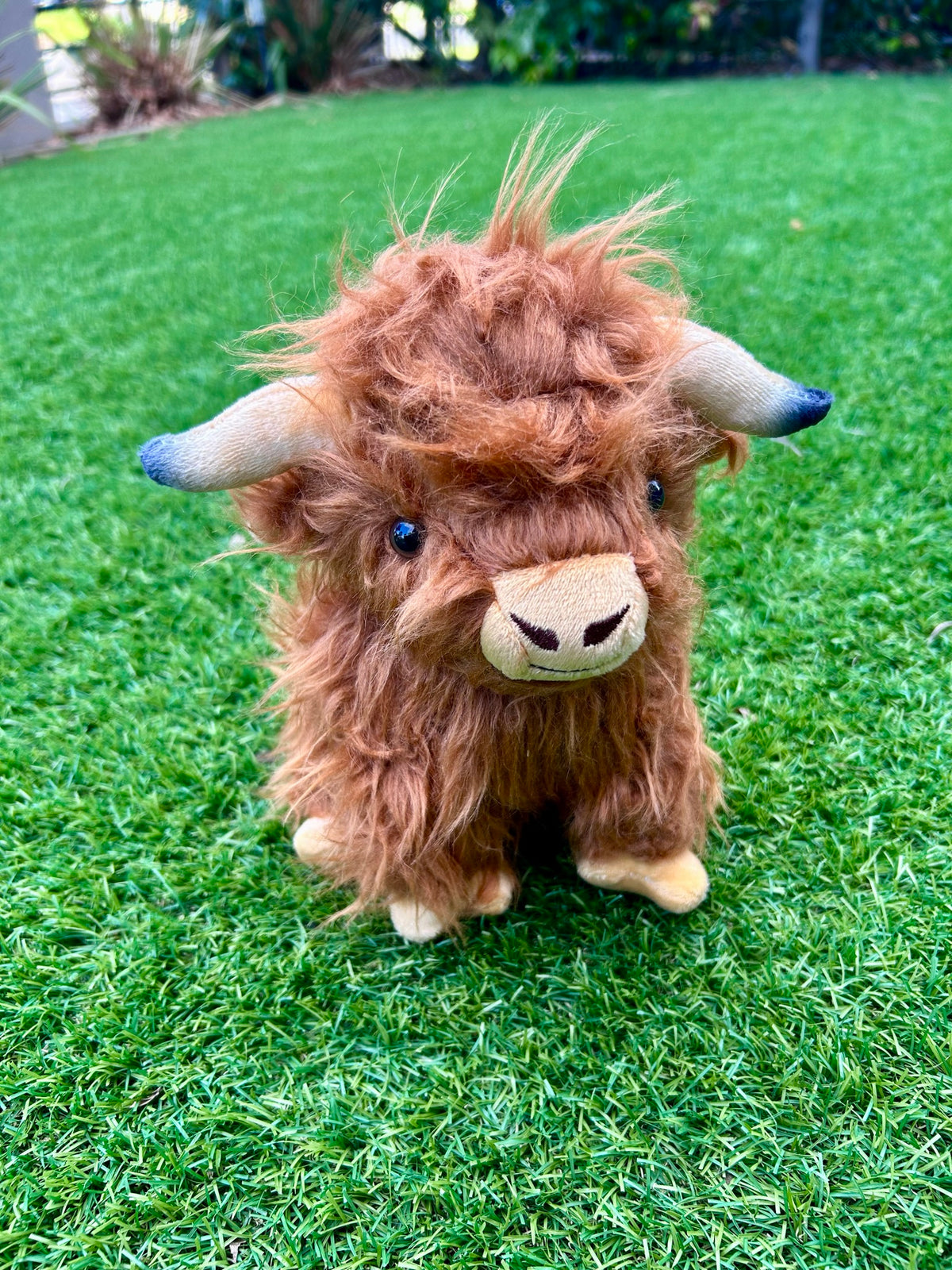 Highlander Cow Plush