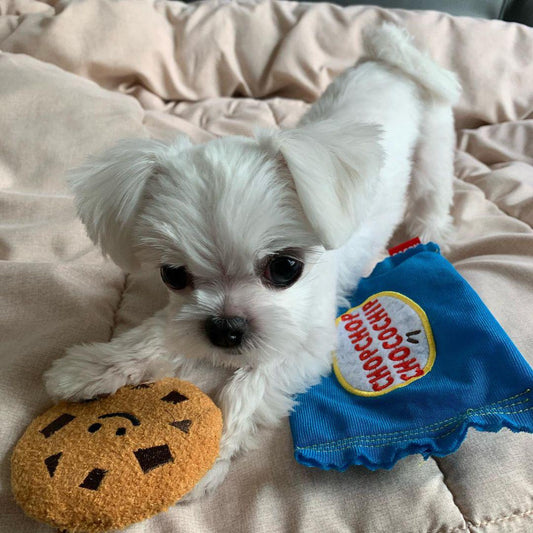 Chocolate Chip Cookie Plush Dog Toy