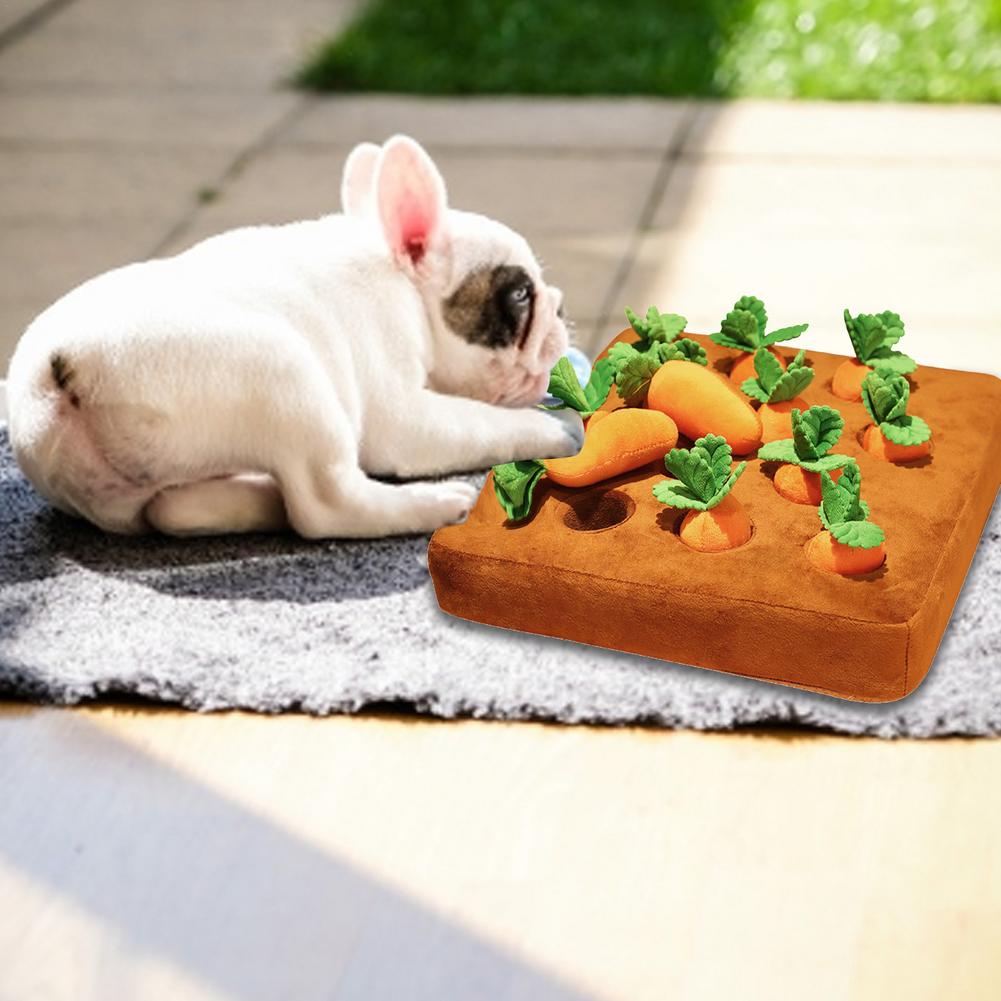 Fruit/Vegetables Plush Dog Toy