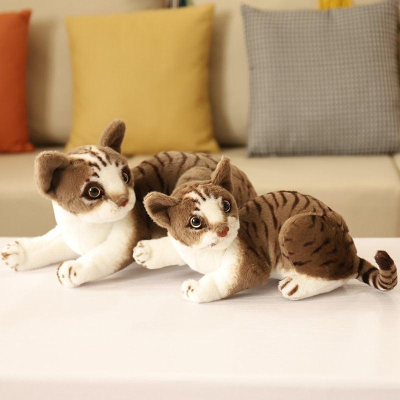 Realistic Shorthair Cat Plush