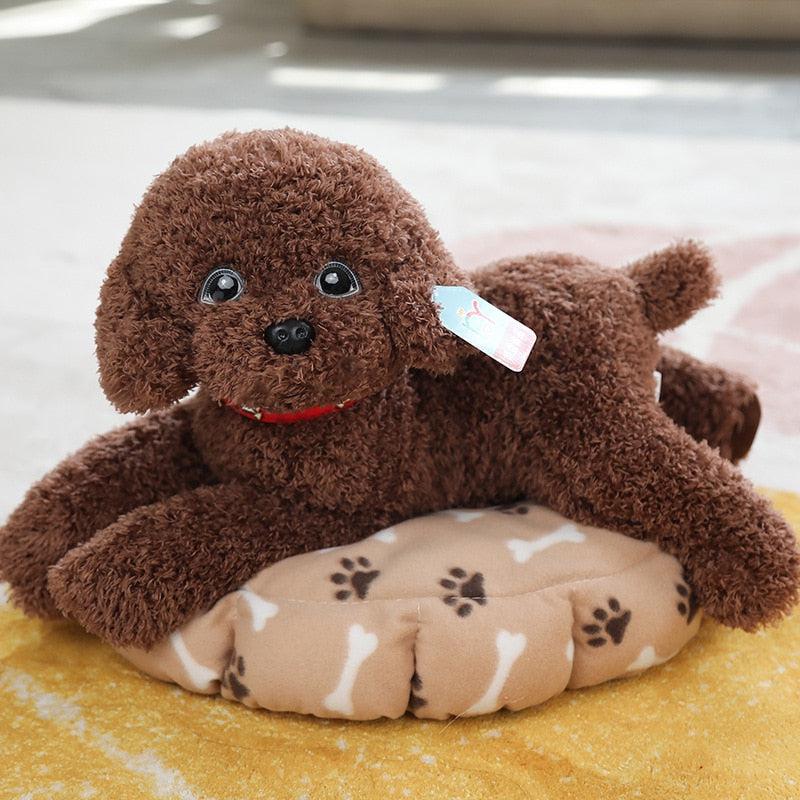 Teddy Dog Plush