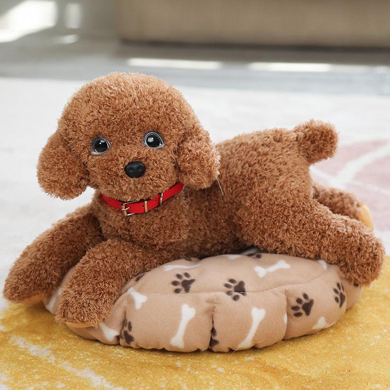 Teddy Dog Plush
