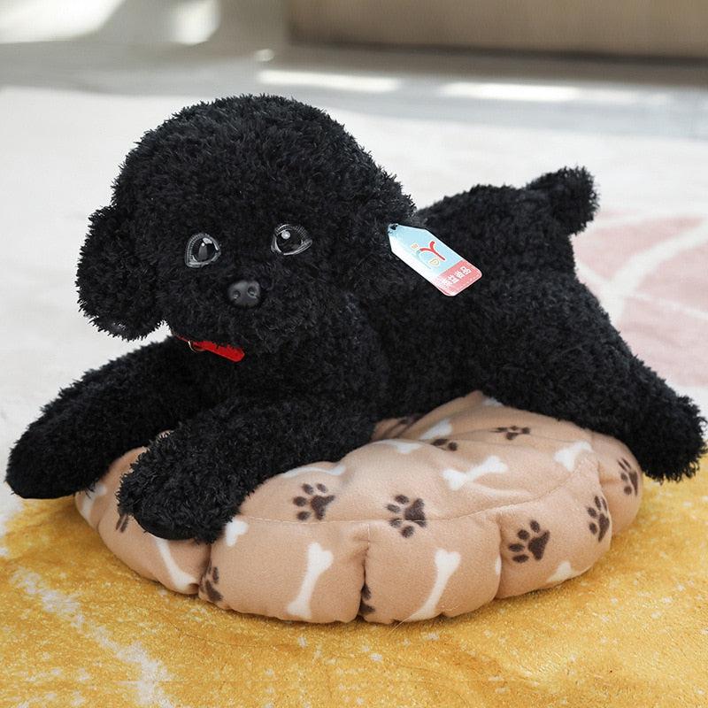 Teddy Dog Plush