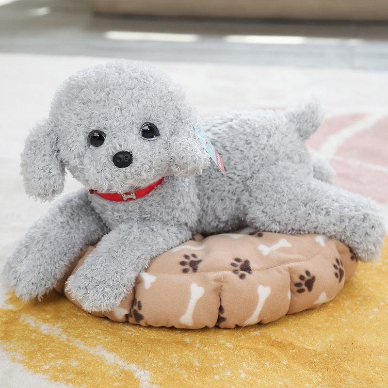 Teddy Dog Plush