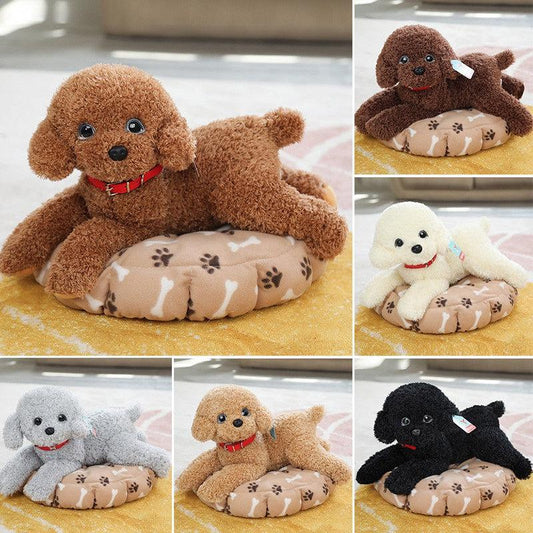 Teddy Dog Plush